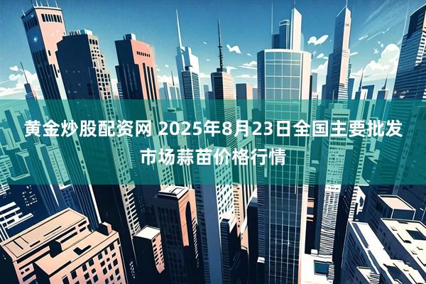 黄金炒股配资网 2025年8月23日全国主要批发市场蒜苗价格行情
